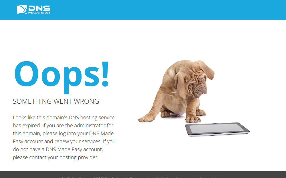 Página da DNS Made Easy com a palavra Oops!, um filhote de cachorro olhando um tablet e o aviso de que o serviço de DNS do domínio venceu